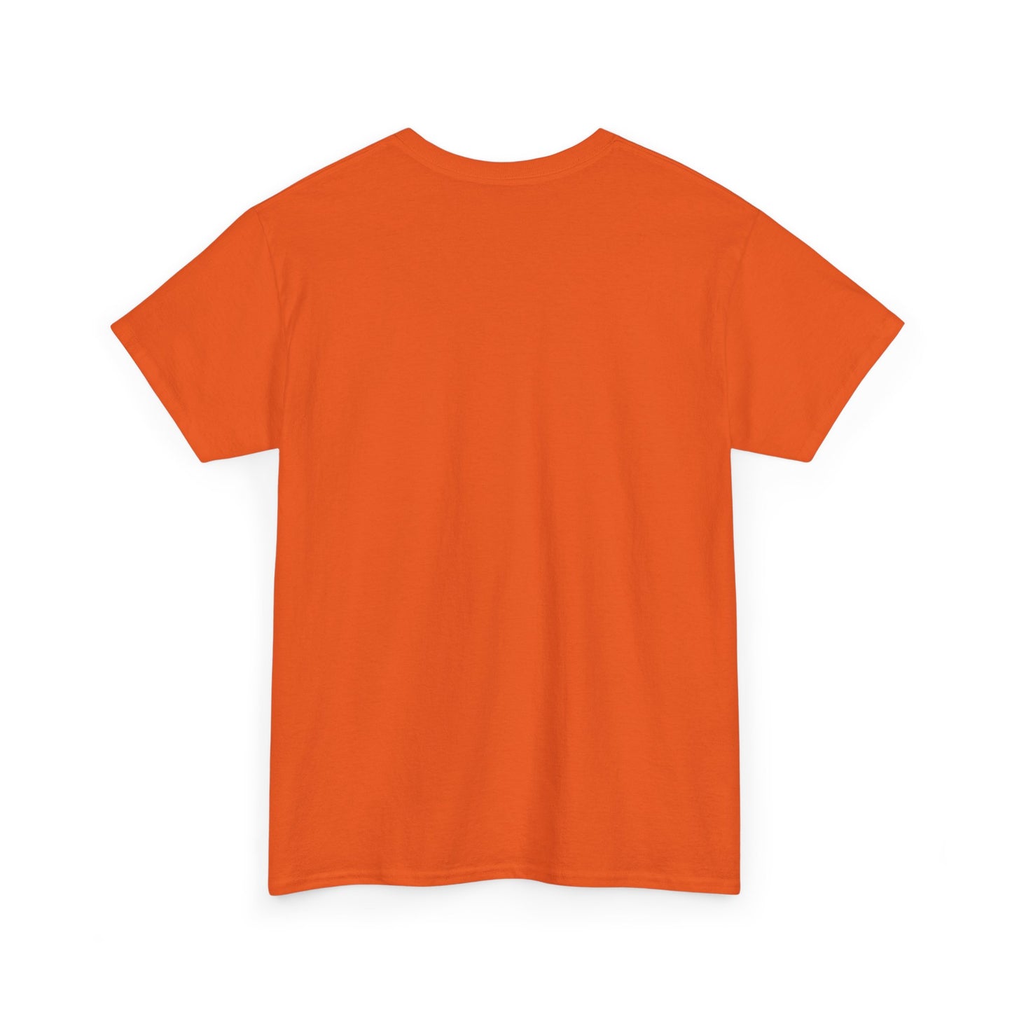 Big Face Beachress - Multi colors