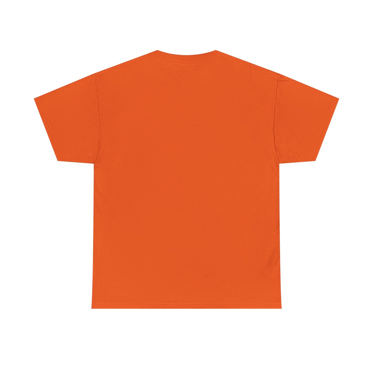 Big Face Beachress - Multi colors