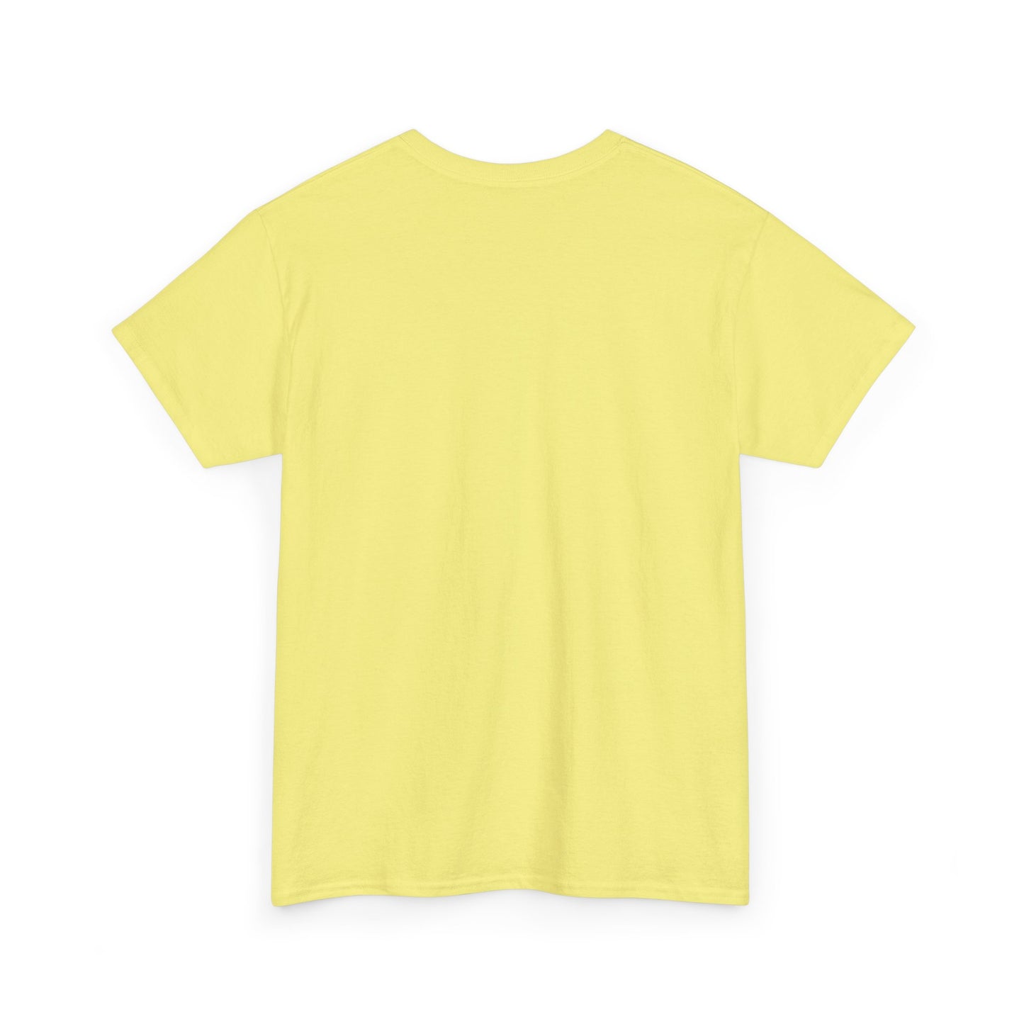 Big Face Beachress - Multi colors