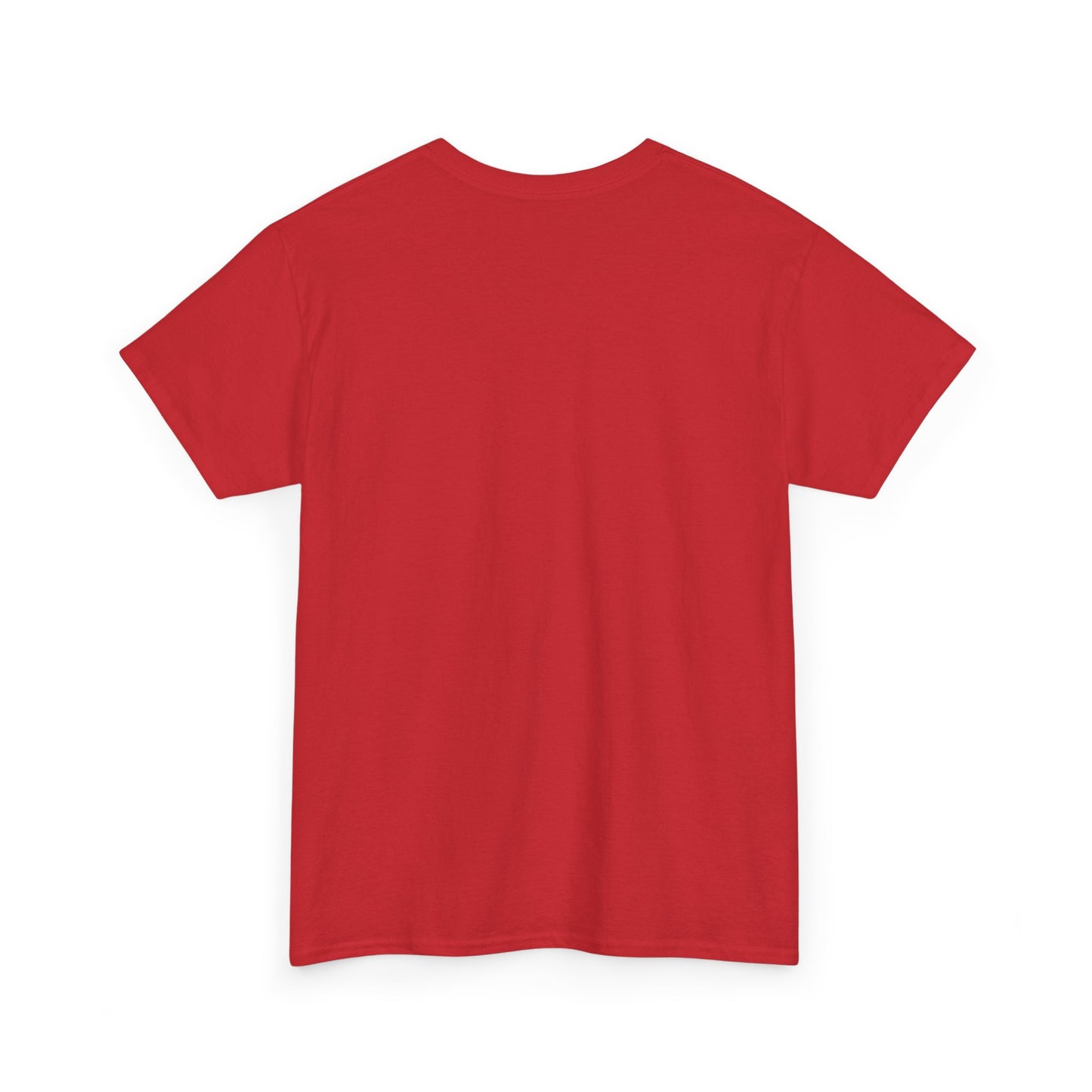 Big Face Beachress - Multi colors